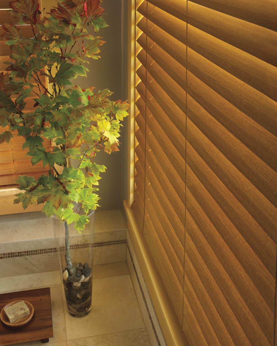 Honeycomb Shades